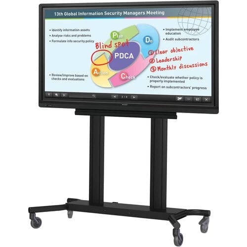 Sharp Interactive Display