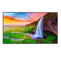 Sharp 65inch Professional Display